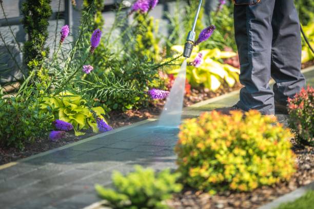 Best Boat and Dock Cleaning  in Prospect, PA